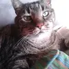 Debora Knutson - @deboraknutson - TikTok