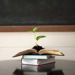 Deborah Knutson - @educationnw - Instagram