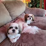 Deborah Knutson - @deborahknutson52gmail.com_ - Instagram