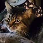 Debra Knutson - @debraknutson - Instagram