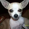 debrakohli - @debrakohli - TikTok