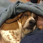 Deb Kuehl - Facebook