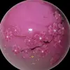 Deborah Kuehl - @deborahkuehl7701 - TikTok