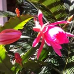 Deb Kunkle - @deb.kunkle - Instagram