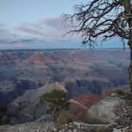 Deb Lambert - @wolfladie62 - Instagram
