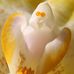 Deb Lambert - Facebook