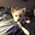 Deb Lambert - @deblambert16 - Instagram