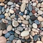 Deb Lambert - @indy_libn - Instagram