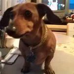 Deb Lambert - @lambert6312 - Instagram