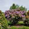 Deb Lambert - @deb.lambert0 - TikTok