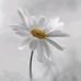 Deb Larson - Facebook