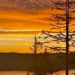 Deb Larson - @devor724845 - Instagram