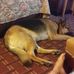 Debbie Leach - Facebook