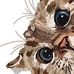 Debbie Lechner - Facebook