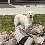 Deb Leonard - @debbaleo - Instagram