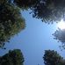Deb Leonard - Facebook