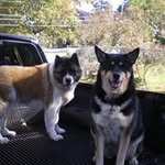 Deb Leonard - @deb.leonard.7792 - Instagram