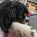 Debbie Lipinski - Facebook