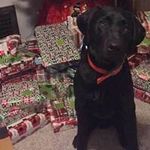 Deb Livingston - @deb.livingston - Instagram