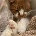 Debbie Livingston - Facebook