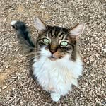 Deb Logan - @azhotdogmom - Instagram
