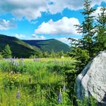 Deb Mack - @deb.mack.52 - Instagram