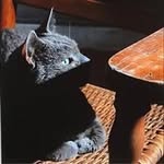 Deb Mackes - @deb_mackes - Instagram