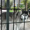 Debbie - @debbie.markham5 - TikTok