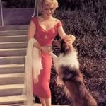 Deb Marks - @stylistothestars - Instagram