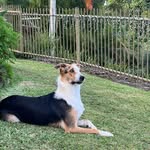Deb Marks - @mylot61 - Instagram