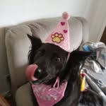 Deb Marshall - @debmarshall6577 - Instagram