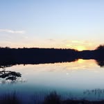 Deb Marshall - @debra17406 - Instagram