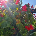 Deb Marshall - @deb.marshall.3591 - Instagram