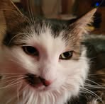 Deb Martz - Facebook