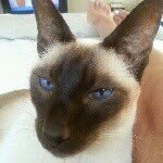 @deb_mcdonald - Instagram