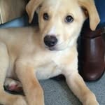 Deb Mcdonald - @d.mcdonald.47 - Instagram