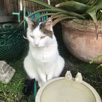 Deborah McDonald - Facebook