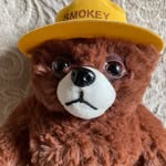 Deb McKenzie - @smokeythebear_weisenhiker - Instagram