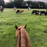 Deb McLean - @deb.mclean.5 - Instagram