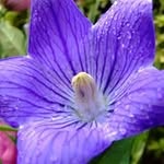 Deb Broadhurst McMahon - @debbroadhurstmcmahon - Instagram