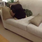 Deb McMahon - @debmcm2010 - Instagram