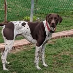 Deb McMahon - @deb.mcmahon.71 - Instagram