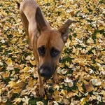 Deb McMahon - @mcmahd1819 - Instagram