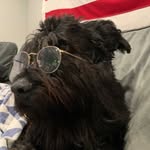 Deb Mead - @dbmeadd - Instagram