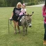 Deb Meadows - @deb.meadows - Instagram