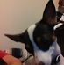 Deb Mercer - Facebook
