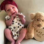 Deb Michel - @michelshome1 - Instagram