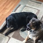 Deb Michel - @dsm3218 - Instagram