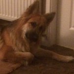 Deb Robbo Middleton - @debrob757 - Instagram