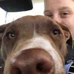 Deb Millar-Sims - @debmillarsims - Instagram